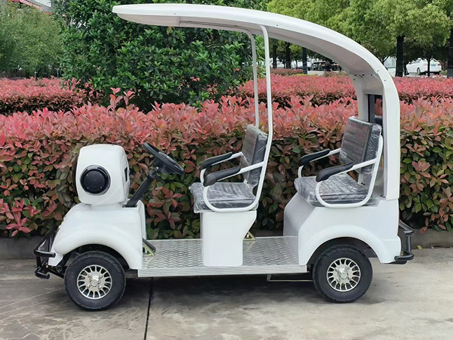 Mini Electric Tour Shuttle by Carnee Rides