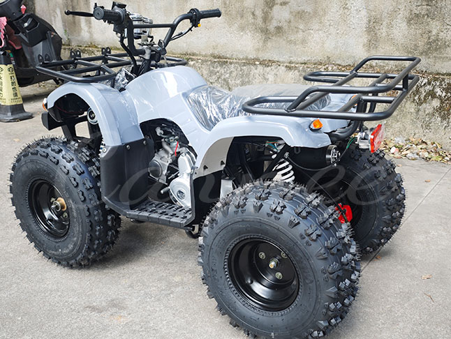 125cc quad bike top speed