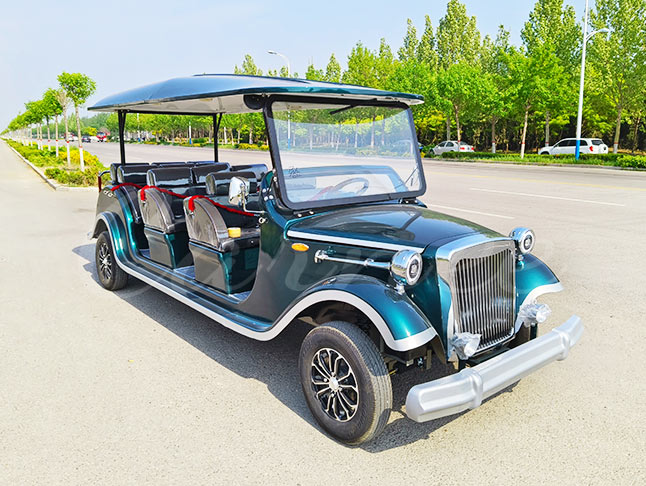 11 seater electric sightseeing car