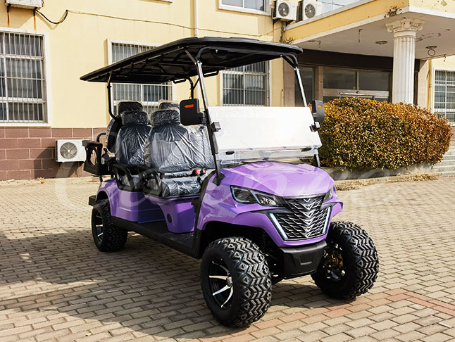 2+1 electric golf carts 6 seater