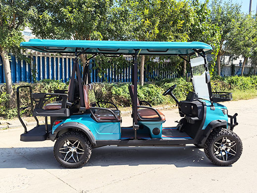 6 seater electric golf cart (2+1 Layout)