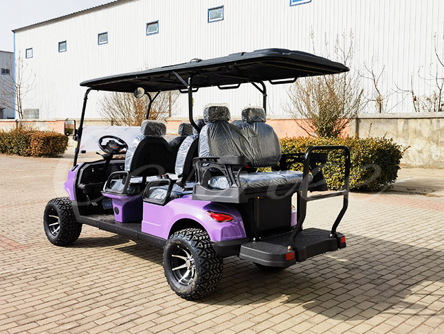 Rear view of purple 6 seater electric sightseeing cart with rear-facing seat