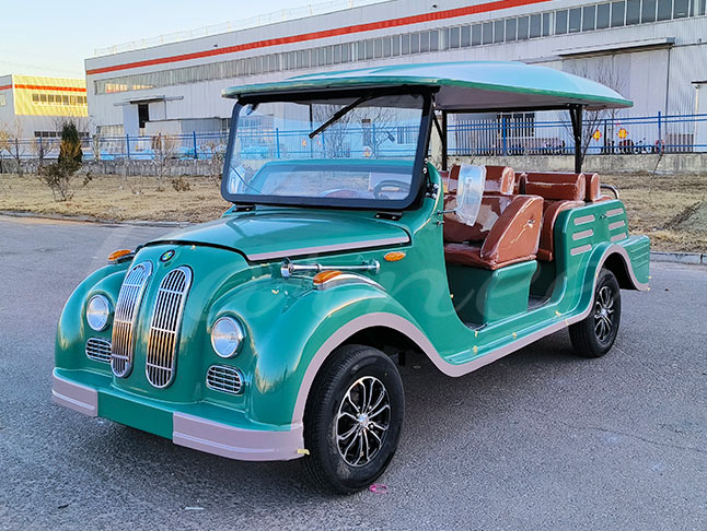 8 seater classic sightseeing car