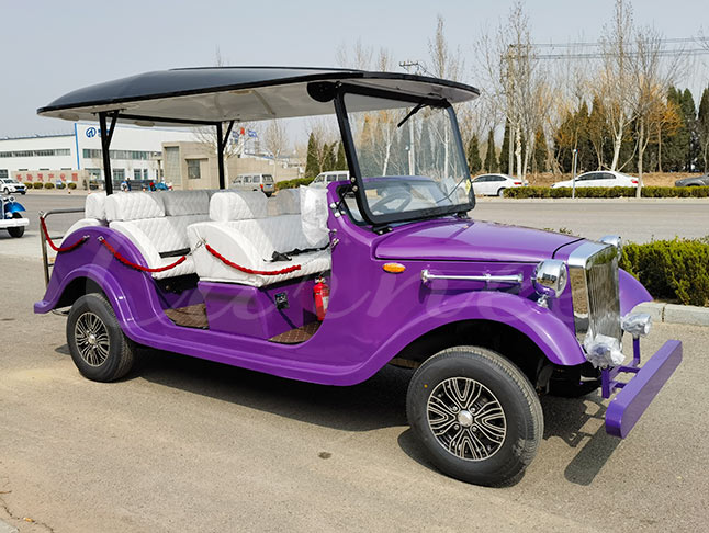8 seater electric shuttle bus retro