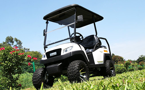 Electric Golf Cart Maintenance