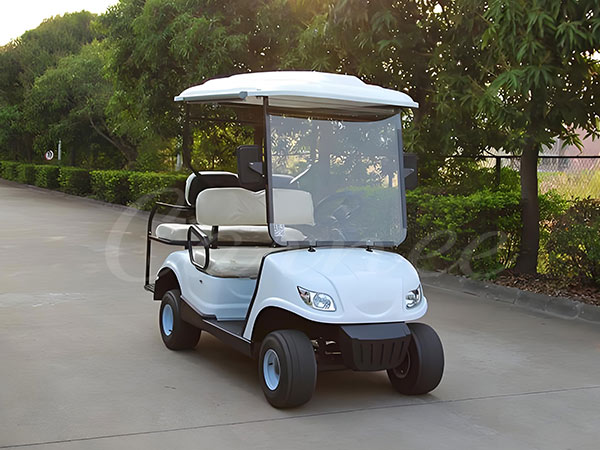 Standard two-seater golf cart parked outdoors, showing typical golf cart width and compact design.